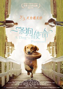 成人a视频在线观看